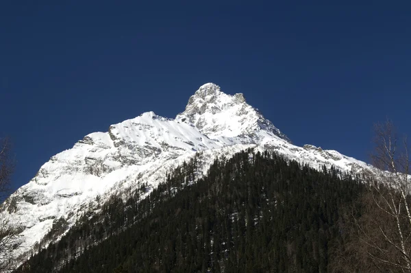 Kaukasus. Dombay, Mount belalakaya. — Stockfoto