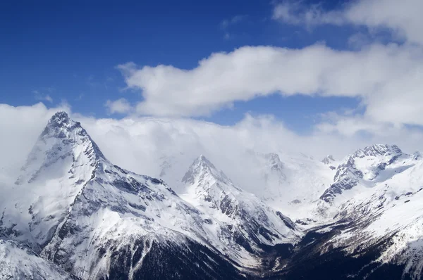 Montagnes du Caucase, Alpinia — Photo