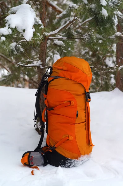 Backpack Snow Forest — Stock Photo, Image