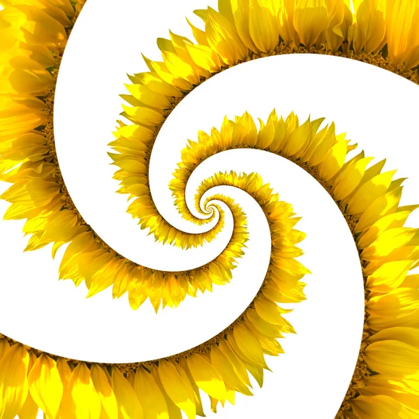 Олія соняшникова спіраль — стокове фото