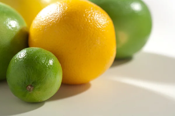 Friss íze citrusfélék — Stock Fotó
