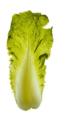 The cabbage's leaf clipart