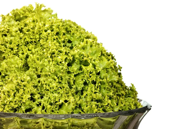 Πράσινη σαλάτα φρέσκα φύλλα — Φωτογραφία Αρχείου