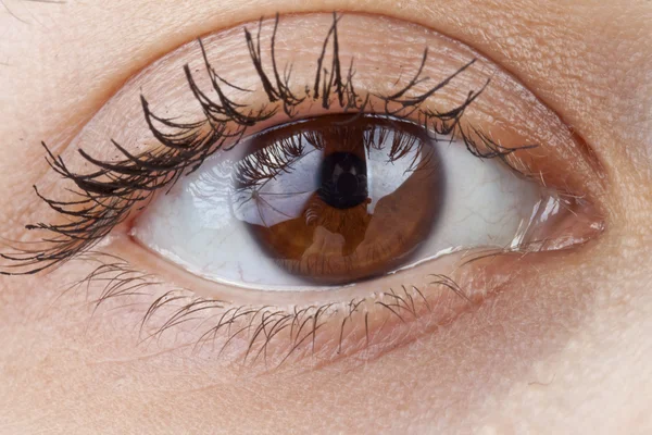 Egy gyönyörű makró emberi szem — Stock Fotó
