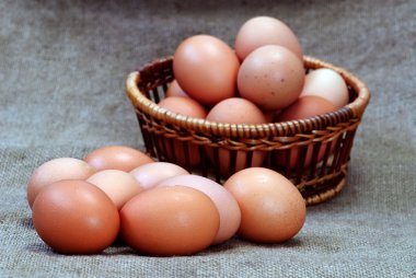 Chicken eggs of brown color in cardboard cells clipart