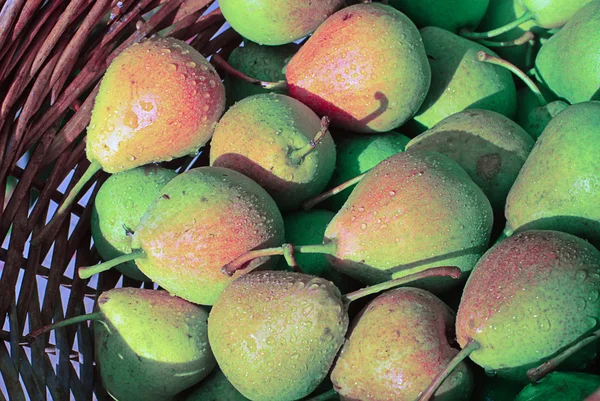 Korg med massor av päron — Stockfoto