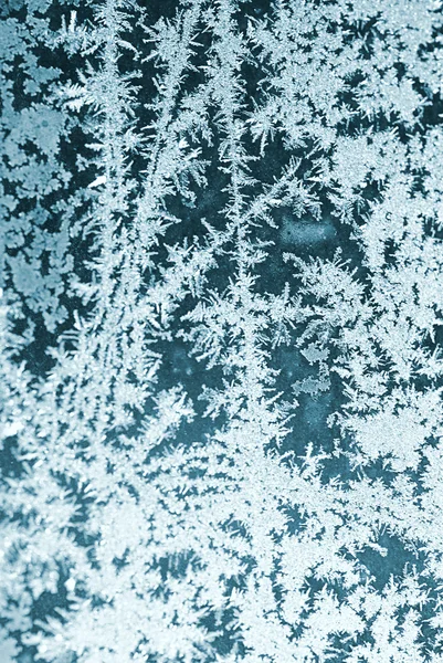 Pencere camında buzlu desen — Stok fotoğraf