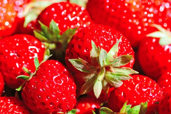 stock image Red juicy strawberries