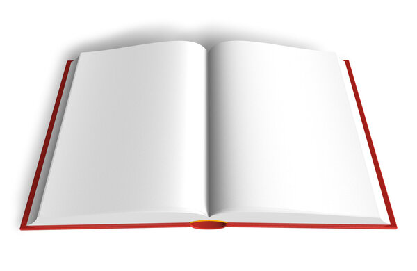 Пустая книга
