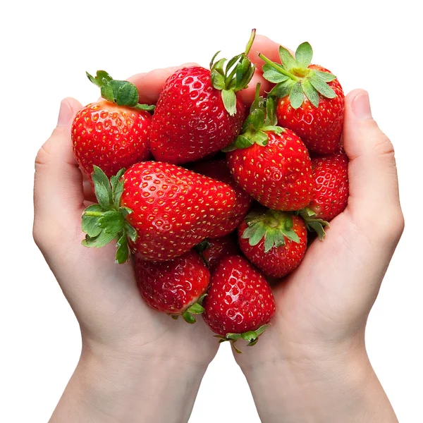 Strawberries in hands — Stock Photo, Image