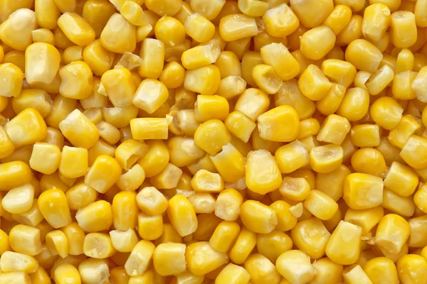Dulce maíz primer plano fondo —  Fotos de Stock