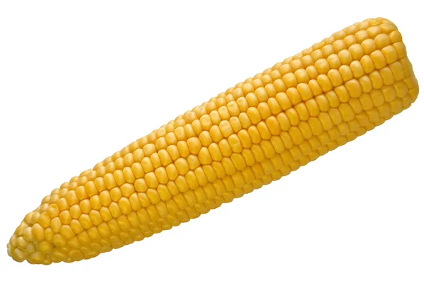 Изолированная кукуруза — стоковое фото