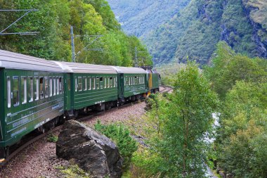 By the train across Scandinavian mountains clipart