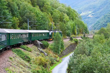 By the train across Scandinavian mountains clipart