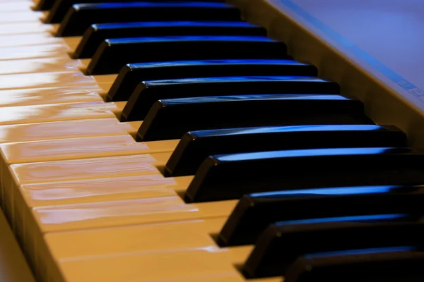 Zongora — Stock Fotó