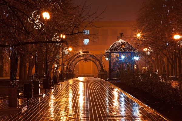 Night decorated alley in the city park — Stock Photo, Image
