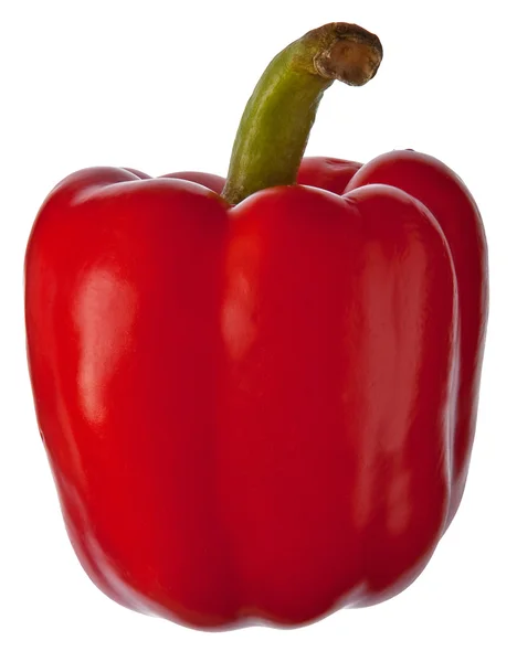 Красный сладкий перец — стоковое фото