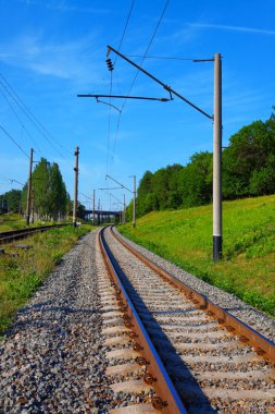 Railroad tracks in summer clipart