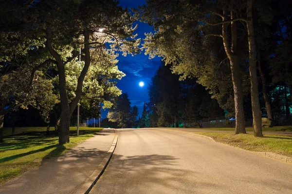 Ночі алея — стокове фото