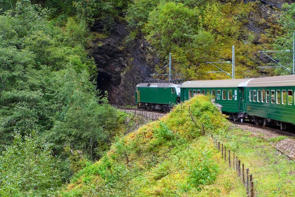 Door de trein over Scandinavische bergen — Stockfoto