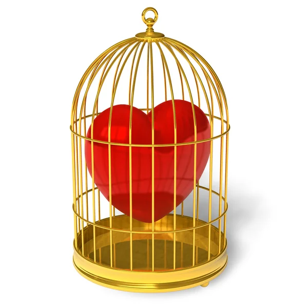 Coração na gaiola — Fotografia de Stock