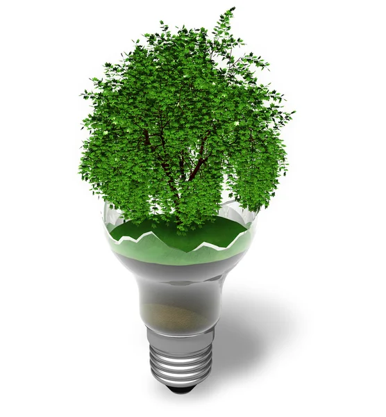 Экологическая концепция: зеленое дерево в разбитой лампе — стоковое фото