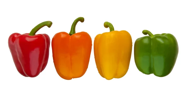 Set of four color sweet peppers — Stock Photo, Image