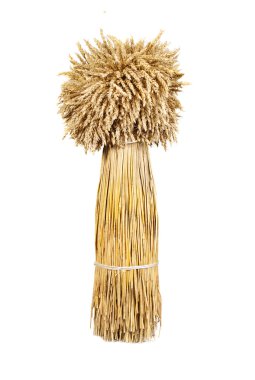 Sheaf of wheat clipart