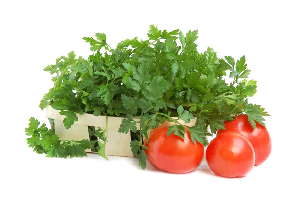 Parsley and tomatoes — Stock Photo, Image