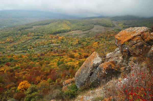 stock image Fog autumn mountains