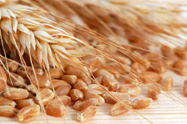 Wheat with seeds — Stock Photo, Image