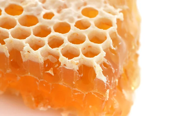 노란 벌 꿀 — 스톡 사진