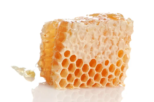 노란 벌 꿀 — 스톡 사진