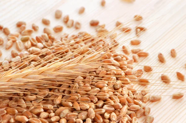 Z nasion pszenicy — Zdjęcie stockowe