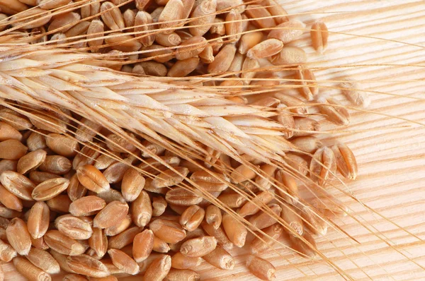 Wheat with seeds — Stock Photo, Image