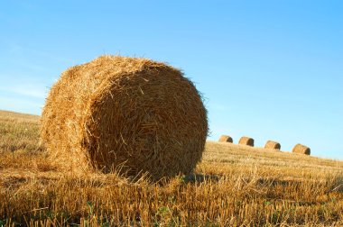 Hay bales clipart