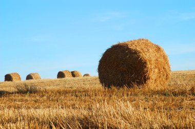 Hay bales clipart