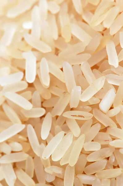 Rice Seeds Food Background — Stock Photo, Image