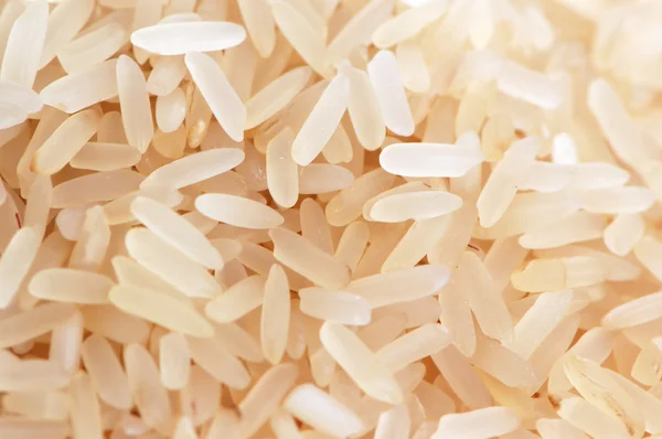 쌀 씨앗 — 스톡 사진