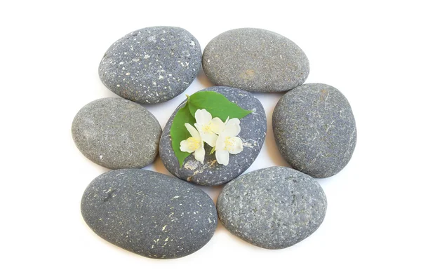 Spa stones and jasmine — Stock Photo, Image