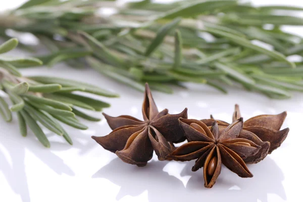 Bunch of rosemary and and anise stars — Stock Photo, Image