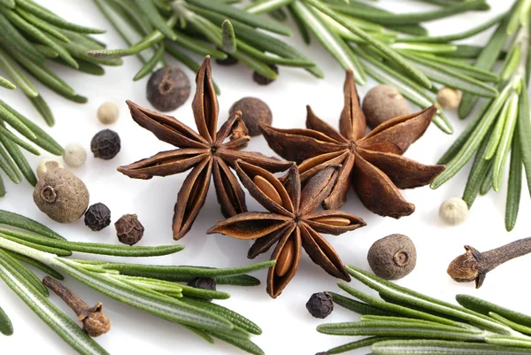 Rosemary, peppercorn, cloves and anise — Stock Photo, Image