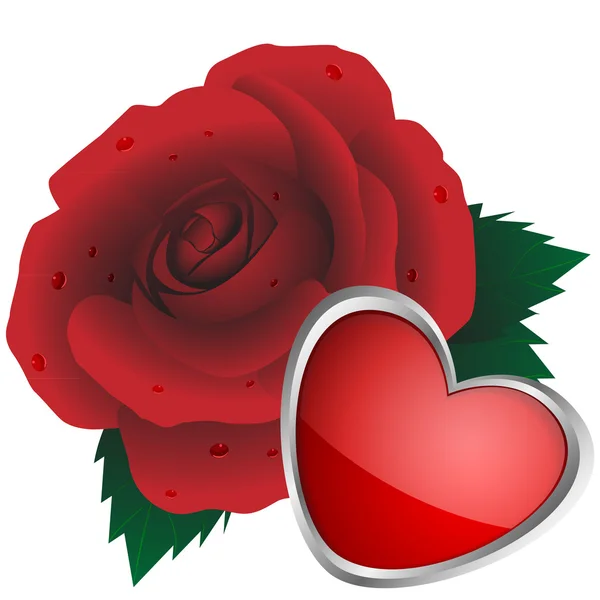 Coeur et rose — Image vectorielle