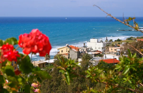 Kıbrıs peyzaj — Stok fotoğraf