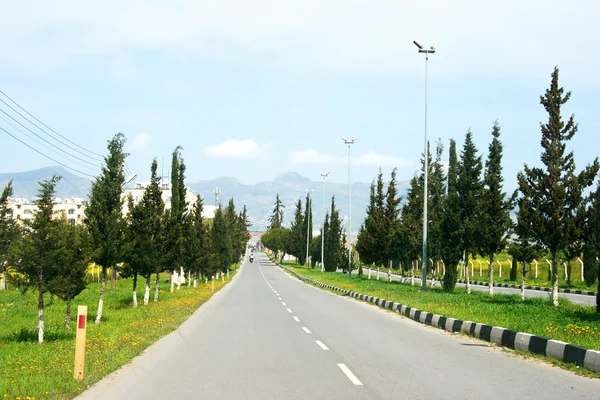 Road in Cyprus — Stock Photo, Image
