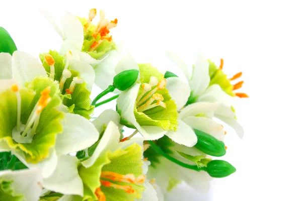 Bloemen Geïsoleerd Witte Achtergrond — Stockfoto