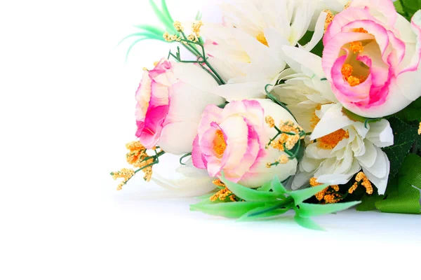 Barevné Květiny Izolované Bílém Pozadí — Stock fotografie
