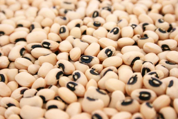 stock image Colorful beans closeup picture.