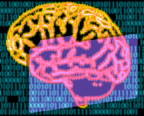 Humans brain and binary code — Stock Photo, Image