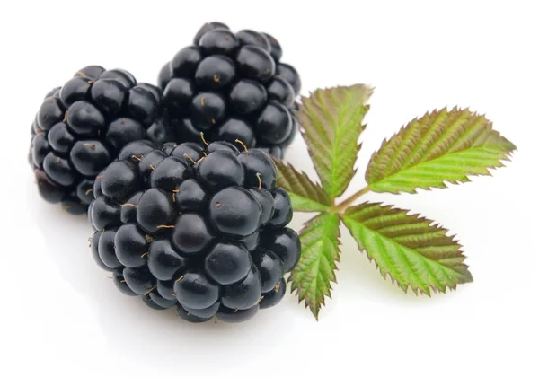 Blackberry cu frunze — Fotografie, imagine de stoc